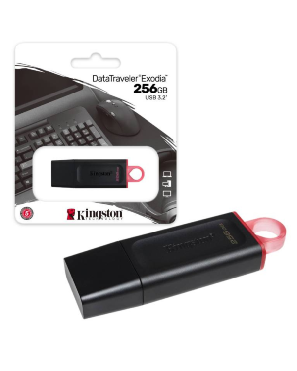 USB KINGSTON 256GB