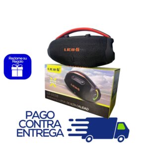 PARLANTE LIDIMI LD-S836 (60W)