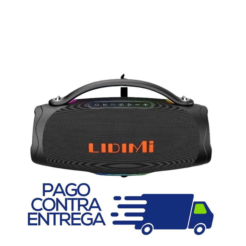 PARLANTE LIDIMI LD-S660 (300W)