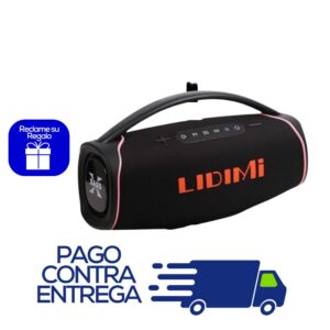 PARLANTE LIDIMI - S666 (300W)