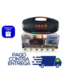 PARLANTE LIDIMI LD-S684 (300W)